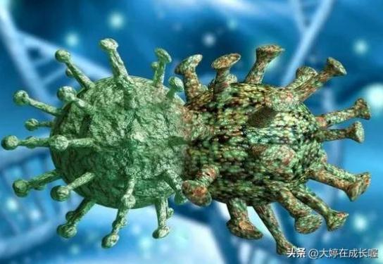 XBB毒株到底該怎么預(yù)防？我們一起來了解一下