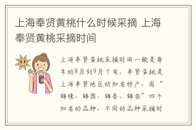 上海奉賢黃桃什么時(shí)候采摘 上海奉賢黃桃采摘時(shí)間