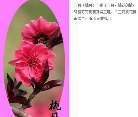 桃月是什么意思 在我國(guó)桃月是指什么呢