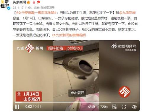 女子穿拖鞋一腳懟死小老鼠！網(wǎng)友調(diào)侃：吸入過量“毒氣”致死