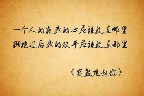 一個(gè)人的夜我的心應(yīng)該放在哪里歌名（是什么歌）