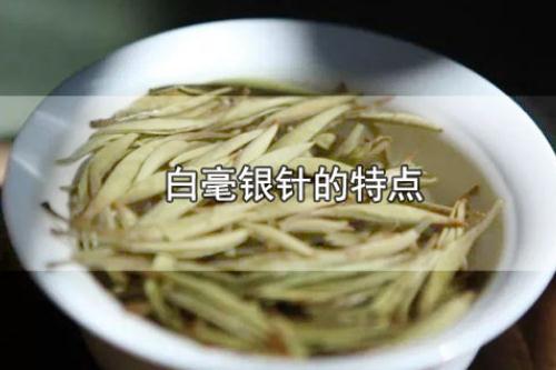 白毫銀針的特點(diǎn) 白毫銀針的保存方法