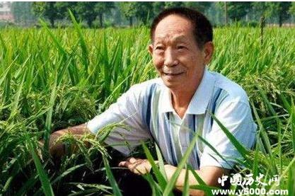 關(guān)于袁隆平生平簡(jiǎn)介(袁隆平的生平簡(jiǎn)介和成就)