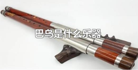 巴烏是什么樂(lè)器 巴烏是那個(gè)民族的樂(lè)器