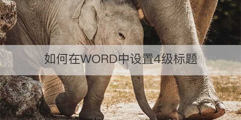 如何在WORD中設(shè)置4級標(biāo)題