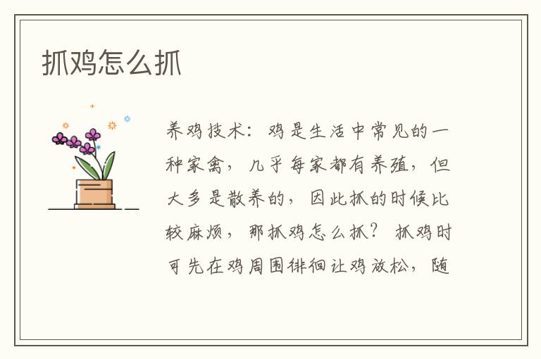 抓雞怎么抓