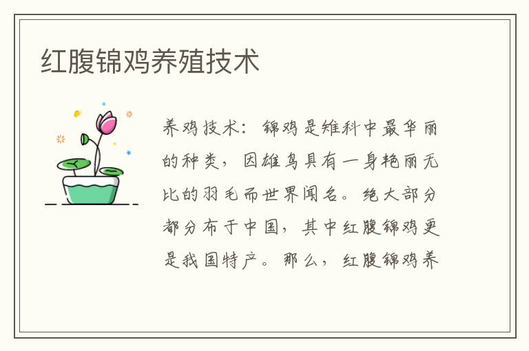 紅腹錦雞養(yǎng)殖技術