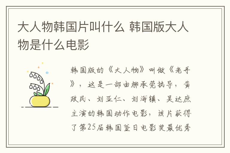 大人物韓國(guó)片叫什么 韓國(guó)版大人物是什么電影