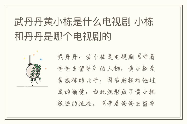 武丹丹黃小棟是什么電視劇 小棟和丹丹是哪個(gè)電視劇的