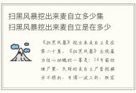 掃黑風暴挖出來麥自立多少集  掃黑風暴挖出來麥自立是在多少集