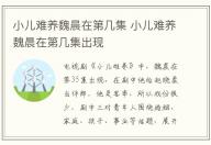 小兒難養(yǎng)魏晨在第幾集 小兒難養(yǎng)魏晨在第幾集出現