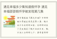 遇見幸福多少集知道假懷孕 遇見幸福邵邵假懷孕被發(fā)現(xiàn)第幾集