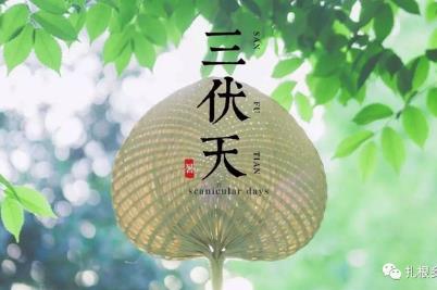 三伏天是幾月幾號2023？今年三伏天時(shí)間表2023最細(xì)消息