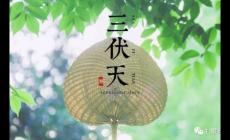 三伏天是幾月幾號2023？今年三伏天時間表2023最細消息