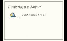 驢的脾氣到底有多可怕？