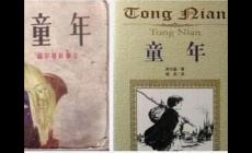 童年的內(nèi)容簡介30字左右 高爾基