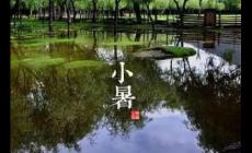 小暑是什么意思?小暑含義的詞語(yǔ)