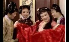 《紅樓夢(mèng)》中薛寶琴是誰(shuí)?薛寶琴的結(jié)局如何?