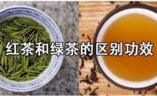 紅茶和綠茶的區(qū)別功效 二者的常見(jiàn)功效及區(qū)別