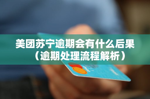 美團蘇寧逾期會有什么后果（逾期處理流程解析）