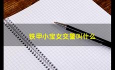 鐵甲小寶的女交警叫什么？鐵甲小寶粉色機(jī)器人叫什么？