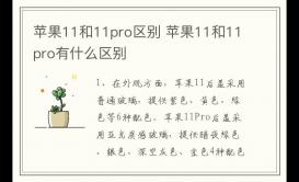 蘋果11和11pro的區(qū)別 蘋果11和11pro有什么區(qū)別
