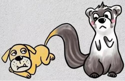 狗尾續(xù)貂的主人公是誰(shuí) 狗尾續(xù)貂的主人公是誰(shuí)?