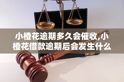 小橙花逾期多久會催收,小橙花借款逾期后會發生什么