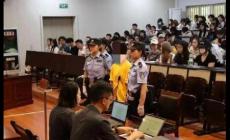 多次乘霸王車女子被判刑 怎么回事呢？