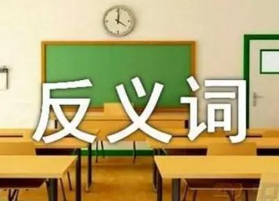 關心的反義詞