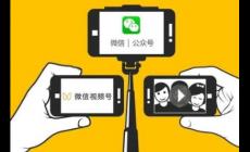 微信id號(hào)怎么查找到人的信息(微信id號(hào)怎么查找到人)