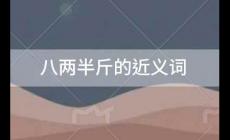 八兩半斤的近義詞，八兩半斤的近義詞是什么
