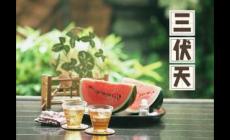 最近還這么熱？三伏天從什么時候開始至結束？