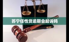 蘇寧任性貸逾期會起訴嗎