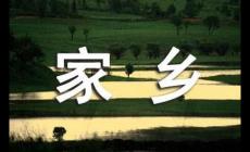 非遺文化遺產作文400字
