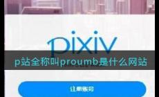 p站網址是什么?pubhorn的官網地址是多少?