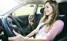 汽車(chē)上的set是什么意思(汽車(chē)上的sET是干什么用的)