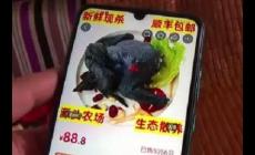88元網(wǎng)購的4只烏雞洗出一盆黑水，品質(zhì)被消費(fèi)者質(zhì)疑