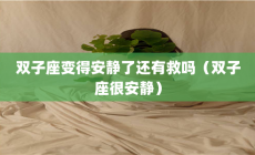 雙子座安靜嗎？當雙子座變得安靜了還有救嗎？
