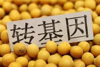 轉(zhuǎn)基因?qū)ι眢w有害嗎？三個轉(zhuǎn)基因危害害處盤點