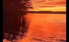 我偷了黃昏的酒全詩(shī)作者是誰 我偷了黃昏的酒全詩(shī)