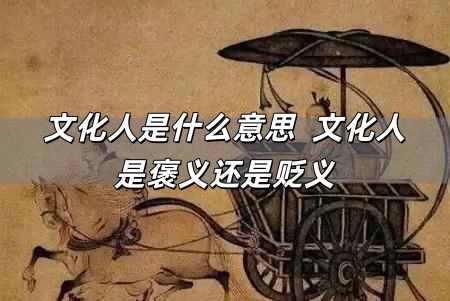 文化人是什么意思  文化人是褒義還是貶義
