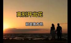 離別開出花誰唱的  離別開出花誰唱的原唱好聽的歌