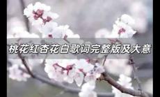 桃花紅杏花白歌詞完整版 左權民歌桃花紅杏花白歌詞大意