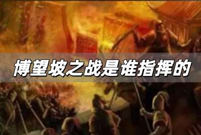 博望坡之戰是誰指揮的？是諸葛亮指揮的嗎？