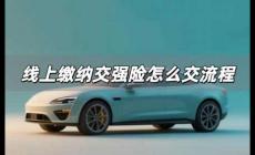 線上繳納交強險怎么交 線上繳納交強險流程是什么